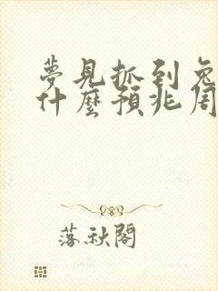 梦见抓到兔子是什么预兆周公解梦