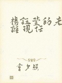 杨钰莹的老公是谁 现任