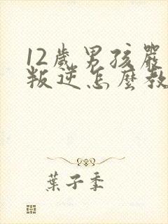 12岁男孩严重叛逆怎么教育