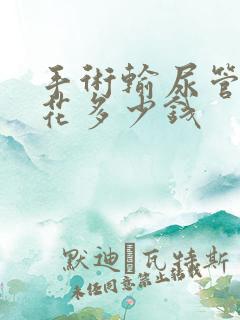 手术输尿管结石花多少钱