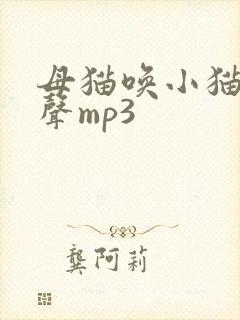 母猫唤小猫的叫声mp3