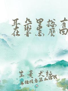 耳朵里总有声音在响怎么回事