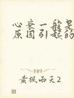 心衰一般是什么原因引起的