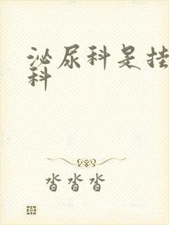 泌尿科是挂哪个科