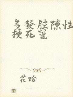 多发腔隙性缺血梗死灶