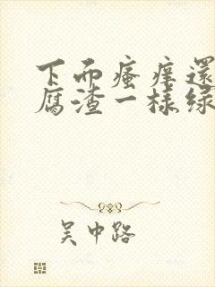 下面瘙痒还有豆腐渣一样绿色的分泌物