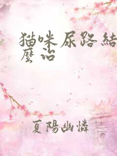 猫咪尿路结晶怎么治