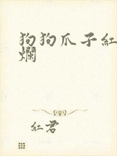 狗狗爪子红肿溃烂