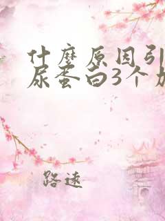 什么原因引起的尿蛋白3个加号