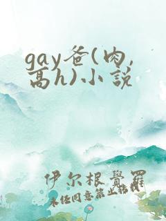 gay爸(肉,高h)小说