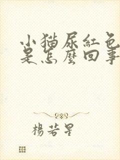 小猫尿红色的尿是怎么回事