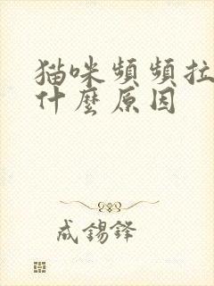 猫咪频频拉尿是什么原因