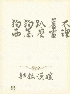 狗狗趴着不吃东西怎么处理