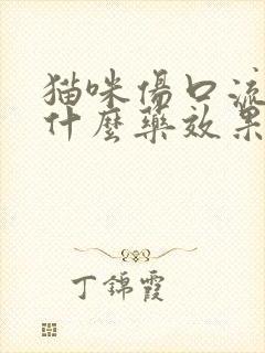 猫咪伤口流脓用什么药效果好