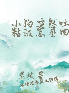 小狗突然吐白色粘液怎么回事