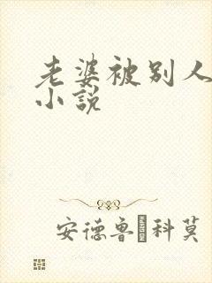 老婆被别人插入小说