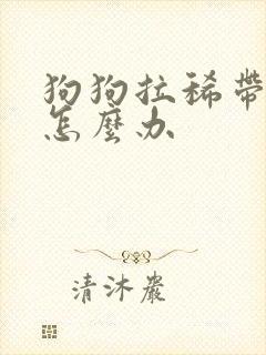 狗狗拉稀带呕吐怎么办