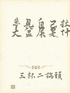 梦见自己拉了一大盆屎是什么预兆