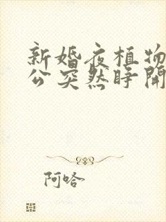 新婚夜植物人老公突然睁开眼