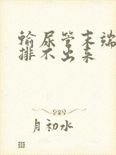 输尿管末端结石排不出来