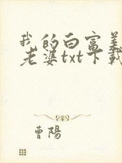 我的白富美总裁老婆txt下载