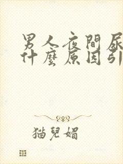 男人夜间尿多是什么原因引起的