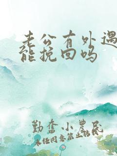 老公有外遇了还能挽回吗