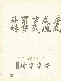 斗罗穿成唐三亲妹双武魂成神了小说