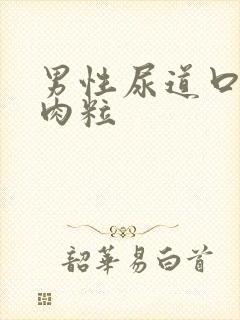 男性尿道口有小肉粒