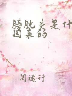 膀胱炎是什么原因来的