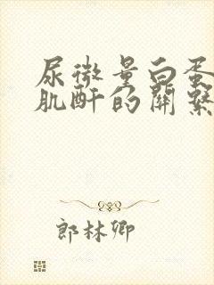 尿微量白蛋白和肌酐的关系