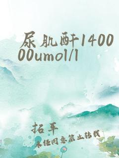 尿肌酐140000umol/l