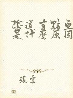 阴道有点鱼腥味是什么原因