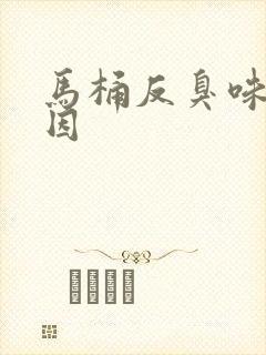 马桶反臭味的原因