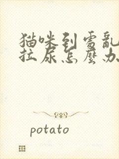 猫咪到处乱拉屎拉尿怎么办