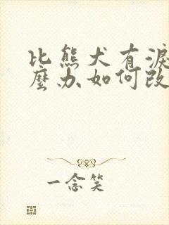 比熊犬有泪痕怎么办如何改善比熊泪痕