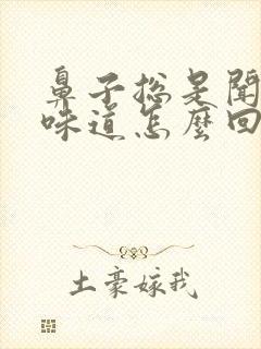 鼻子总是闻不到味道怎么回事