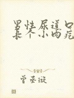 男性尿道口里面长个小肉疙瘩是怎么回事
