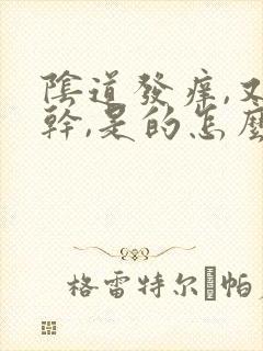 阴道发痒,又发干,是的怎么回事