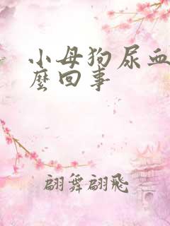 小母狗尿血是怎么回事