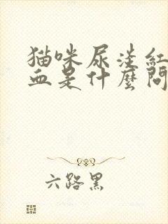 猫咪尿淡红色的血是什么问题