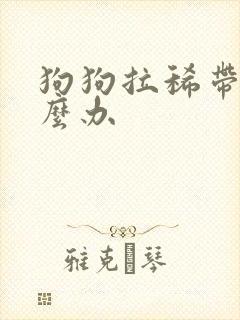 狗狗拉稀带血怎么办