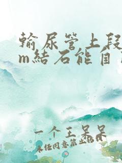 输尿管上段6mm结石能自己排出吗