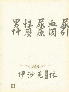 男性尿血尿频是什么原因引起的