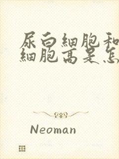 尿白细胞和尿红细胞高是怎么回事