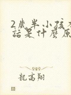 2岁半小孩不说话是什么原因