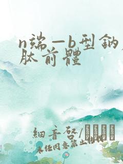 n端—b型钠尿肽前体