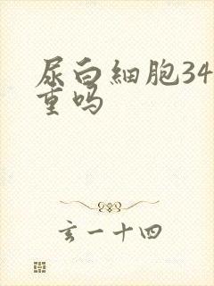 尿白细胞34严重吗