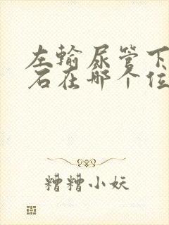 左输尿管下段结石在哪个位置