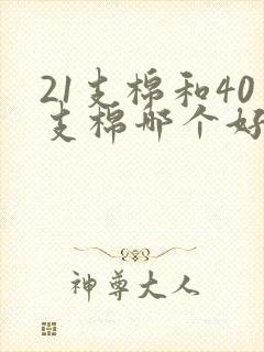 21支棉和40支棉哪个好